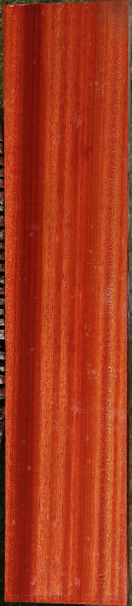 Bloodwood Lumber