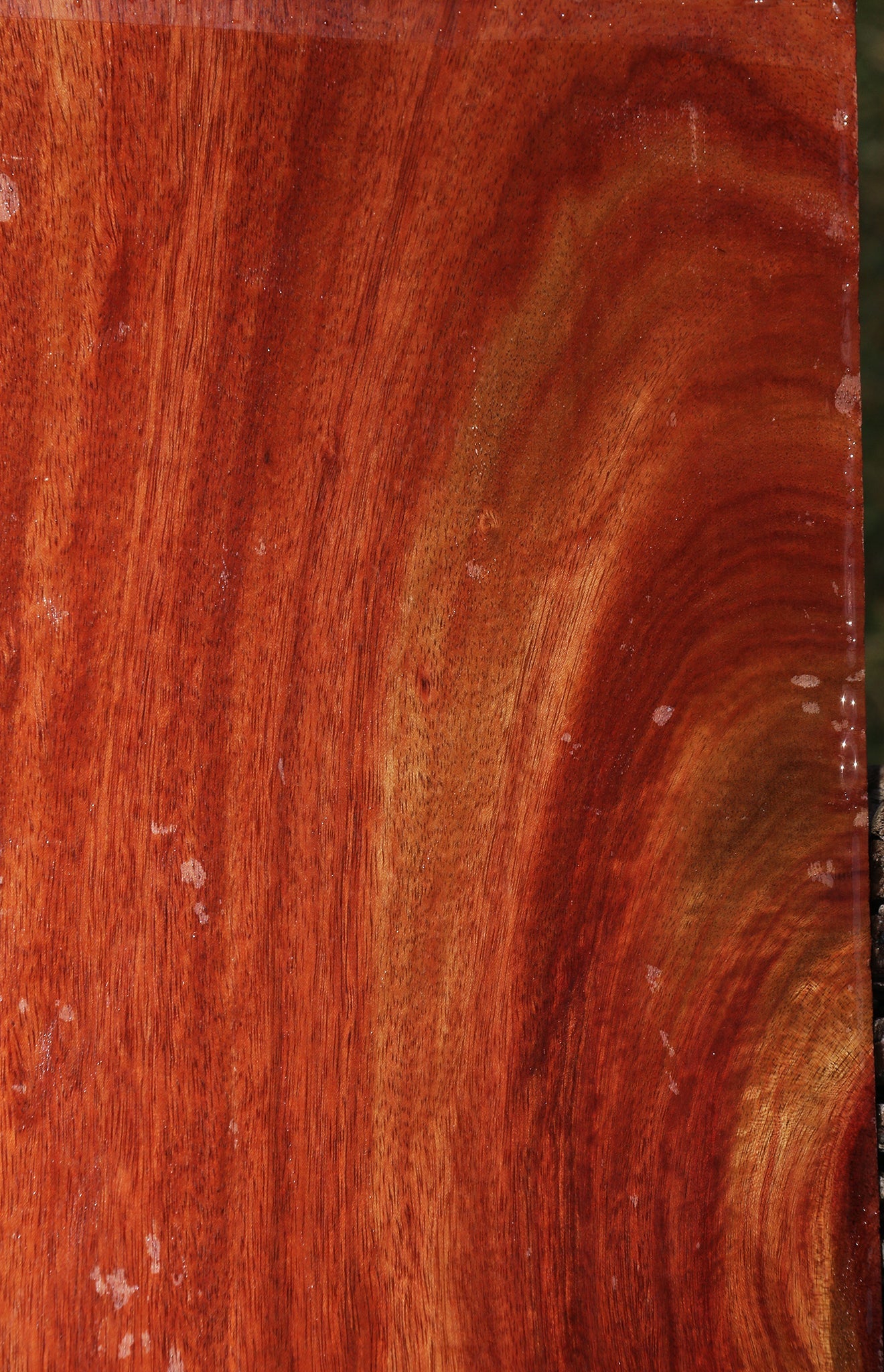 Bloodwood Lumber