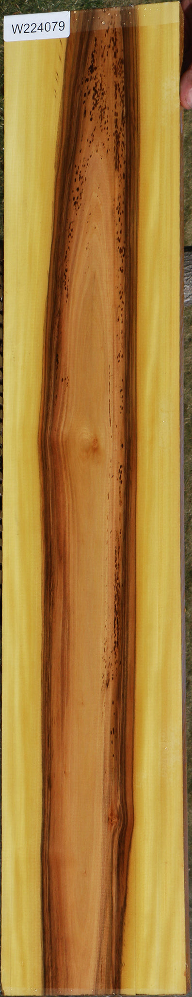 Spalted Kirandy Lumber