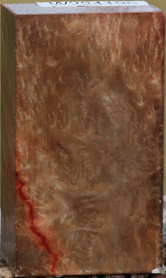 Extra Fancy Madrone Burl Turning Blank