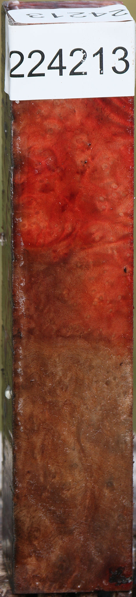 Madrone Burl Turning Square – Cook Woods