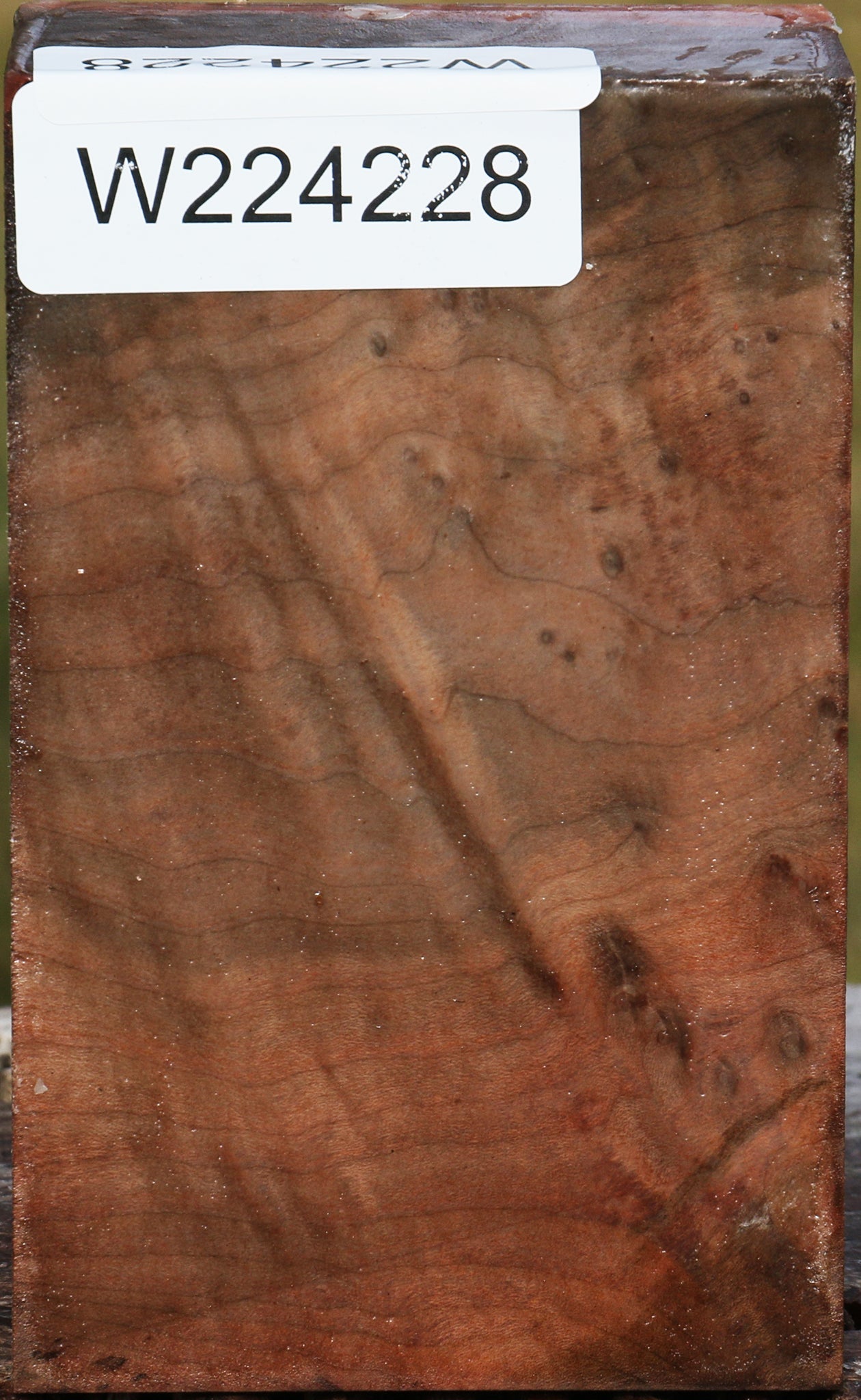 Figured Madrone Burl Turning Blank – Cook Woods