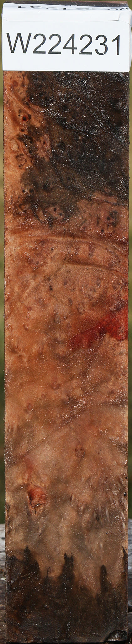 Madrone Burl Turning Square