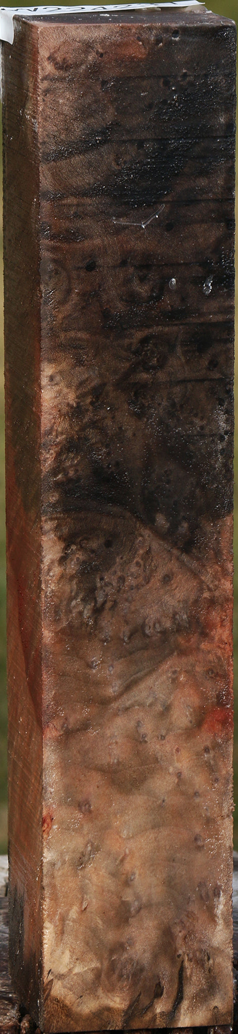 Madrone Burl Turning Square