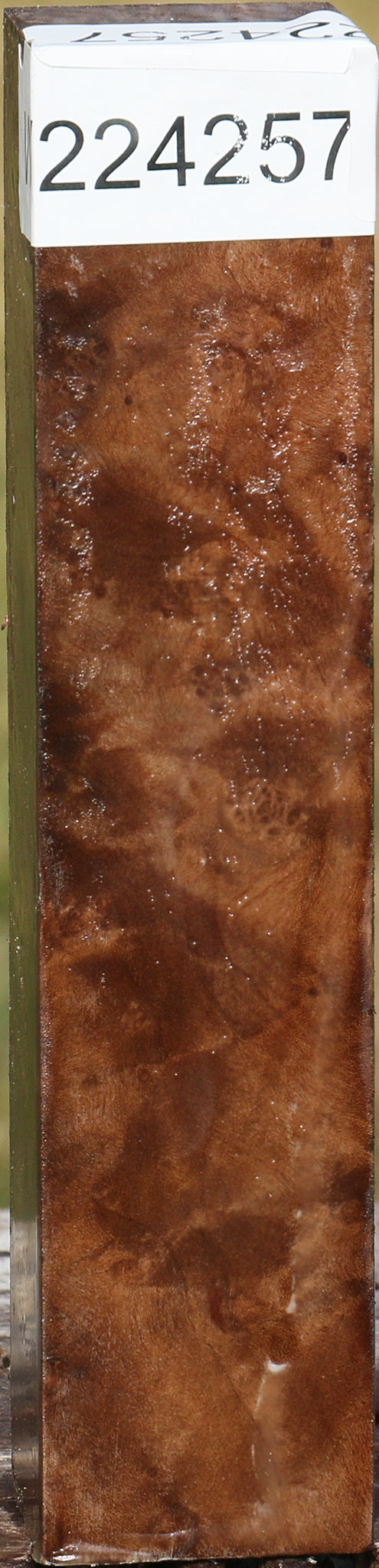 Madrone Burl Turning Square