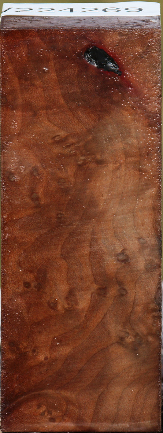 Madrone Burl Turning Square