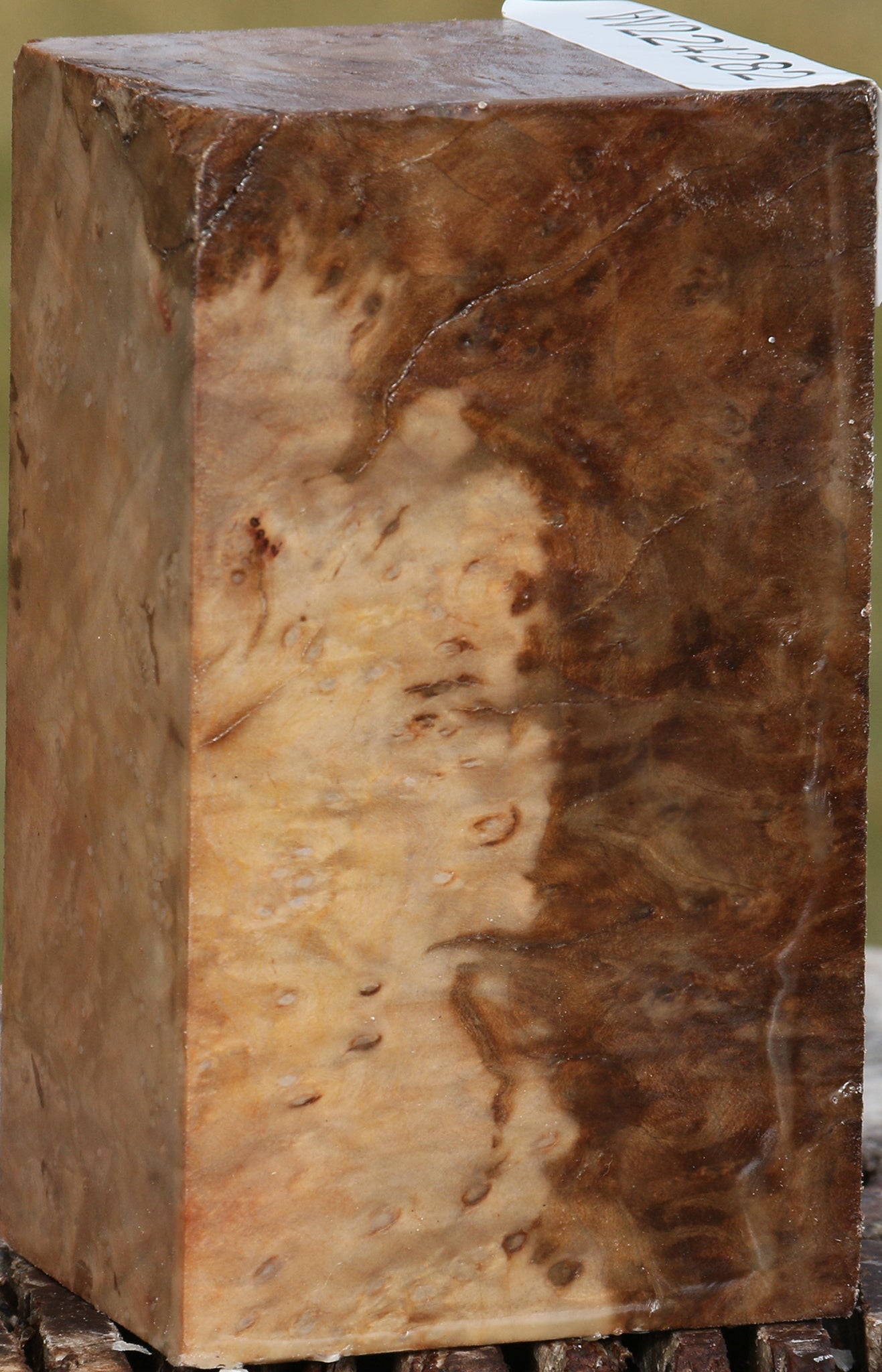 Extra Fancy Madrone Burl Turning Blank