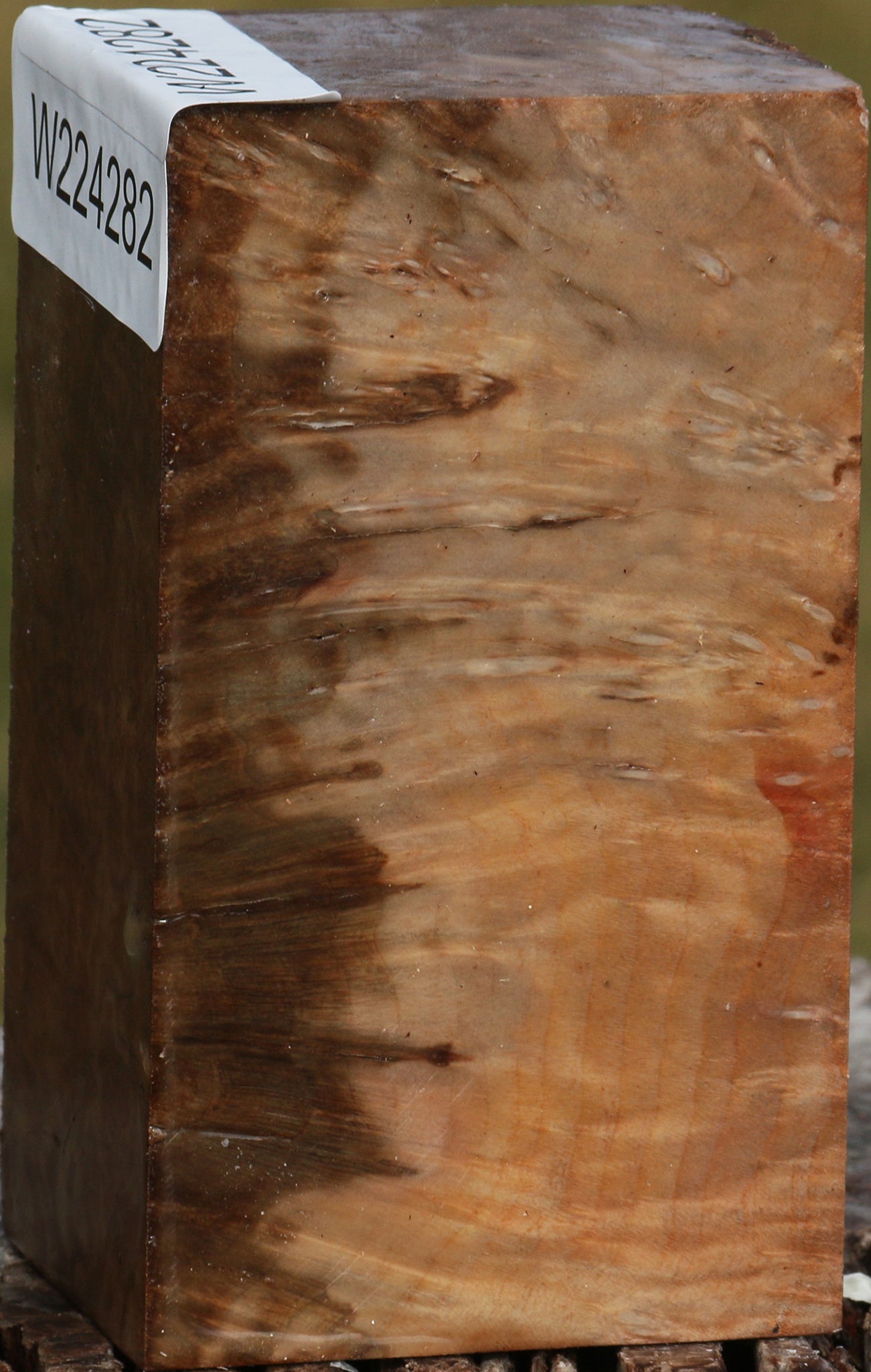 Extra Fancy Madrone Burl Turning Blank