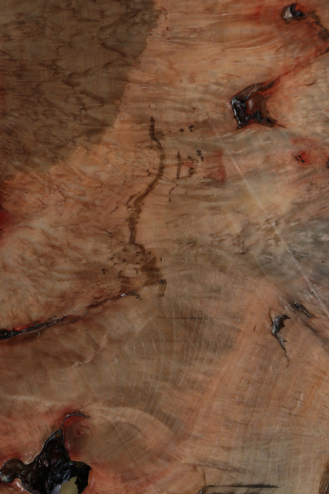 Rustic Madrone Burl Slice