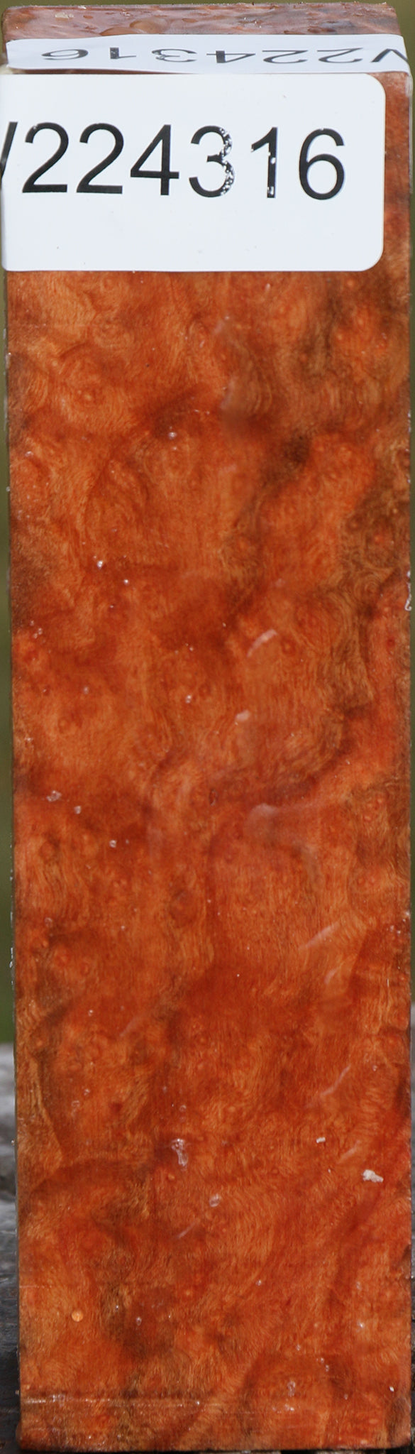 Extra Fancy Madrone Burl Turning Square