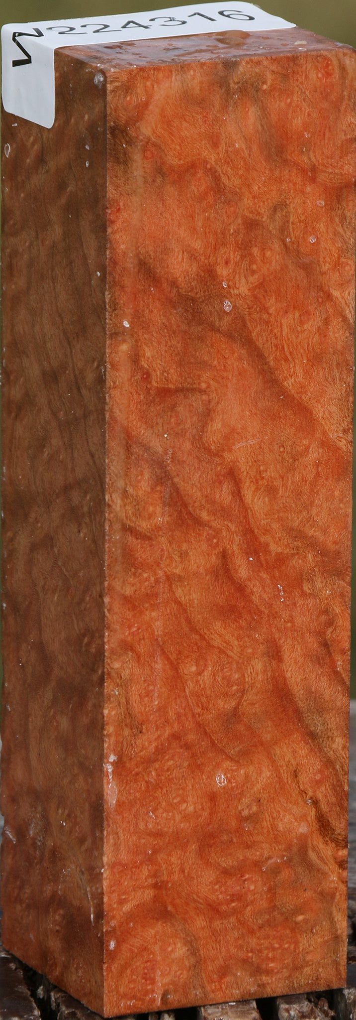 Extra Fancy Madrone Burl Turning Square