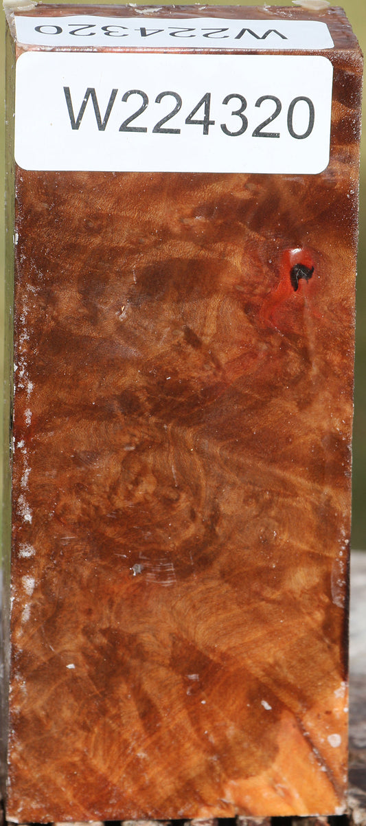 Extra Fancy Madrone Burl Lumber