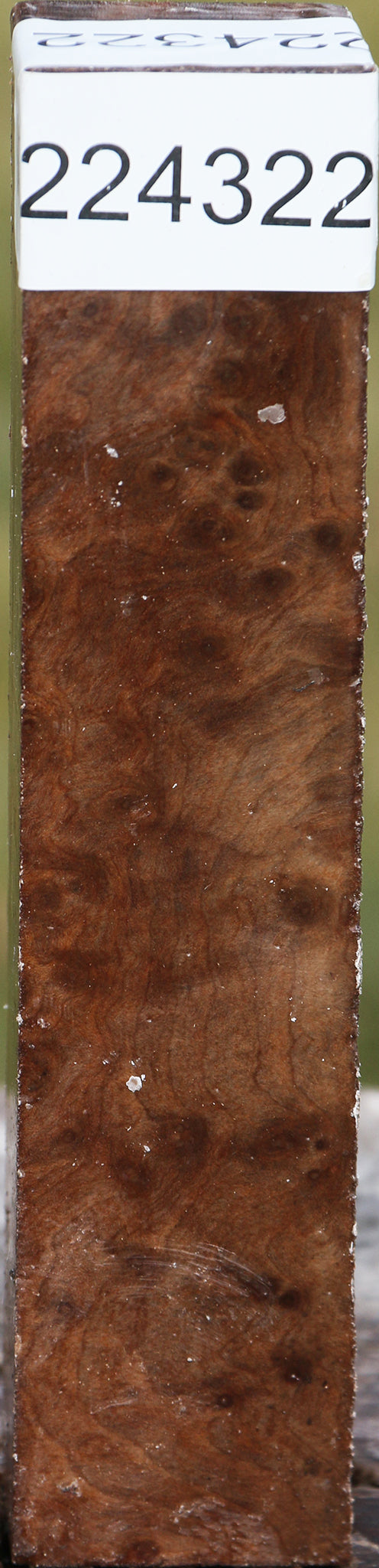 Madrone Burl Turning Square