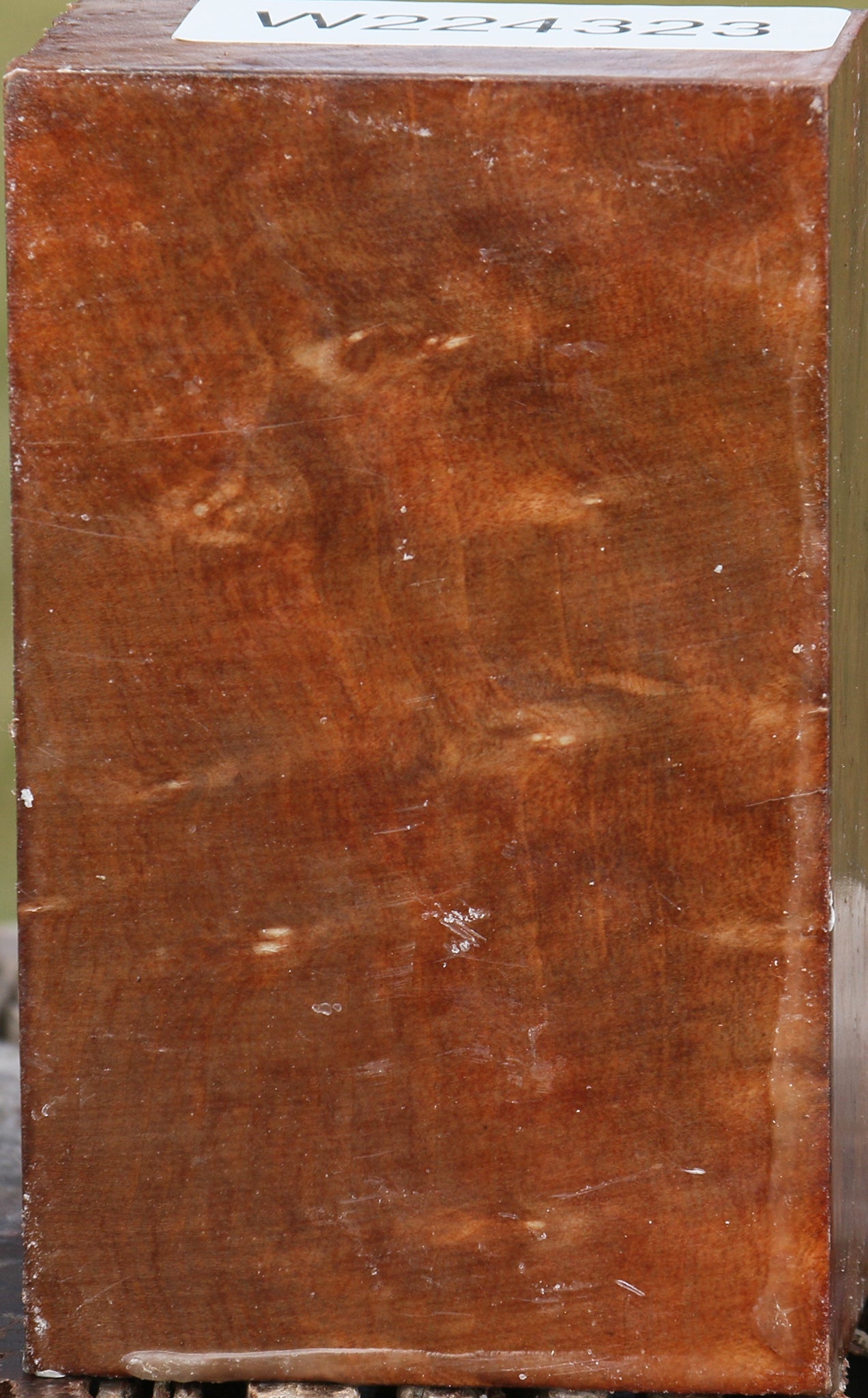 Madrone Burl Turning Blank – Cook Woods