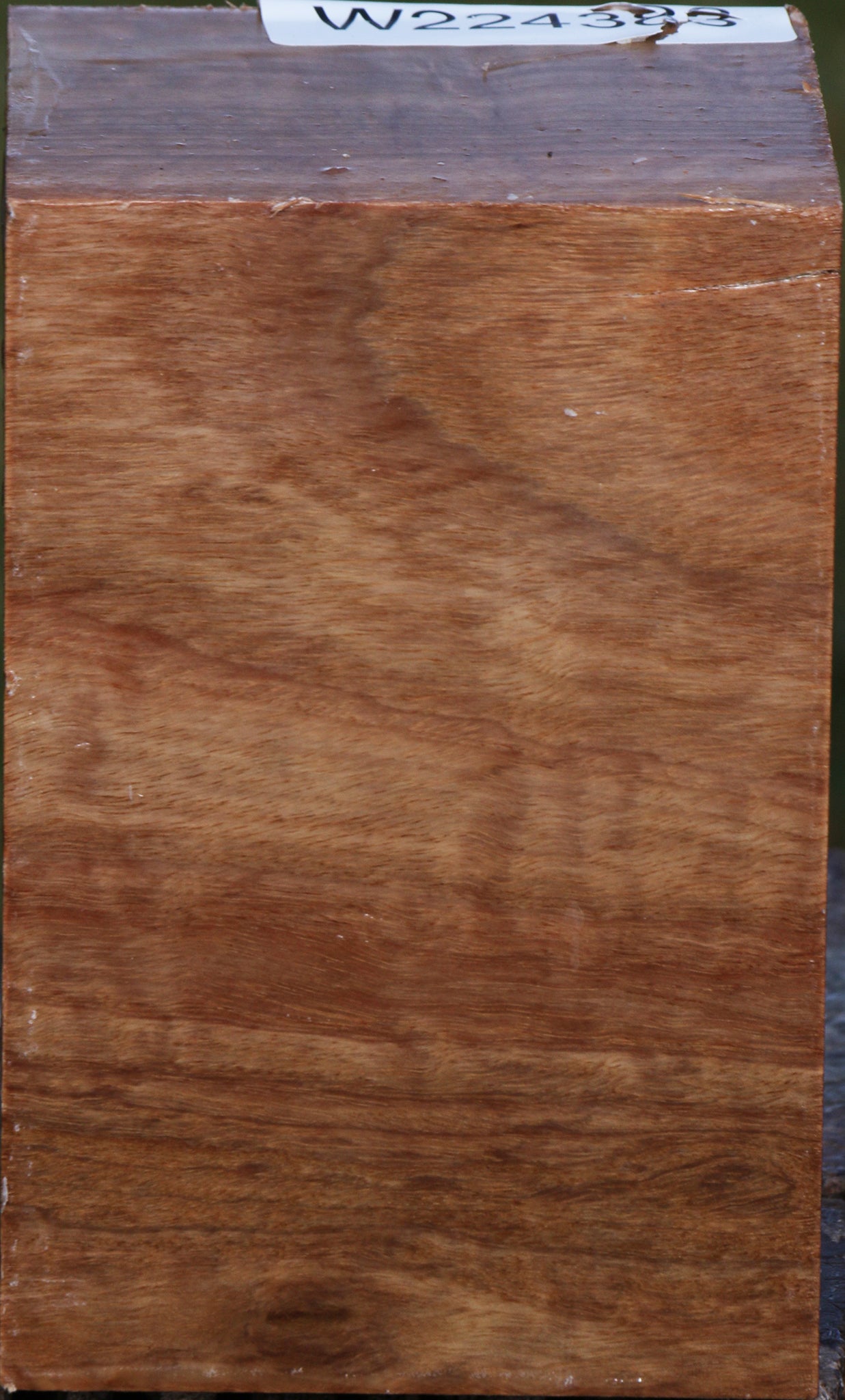 Figured Pomelle Eucalyptus Turning Square – Cook Woods