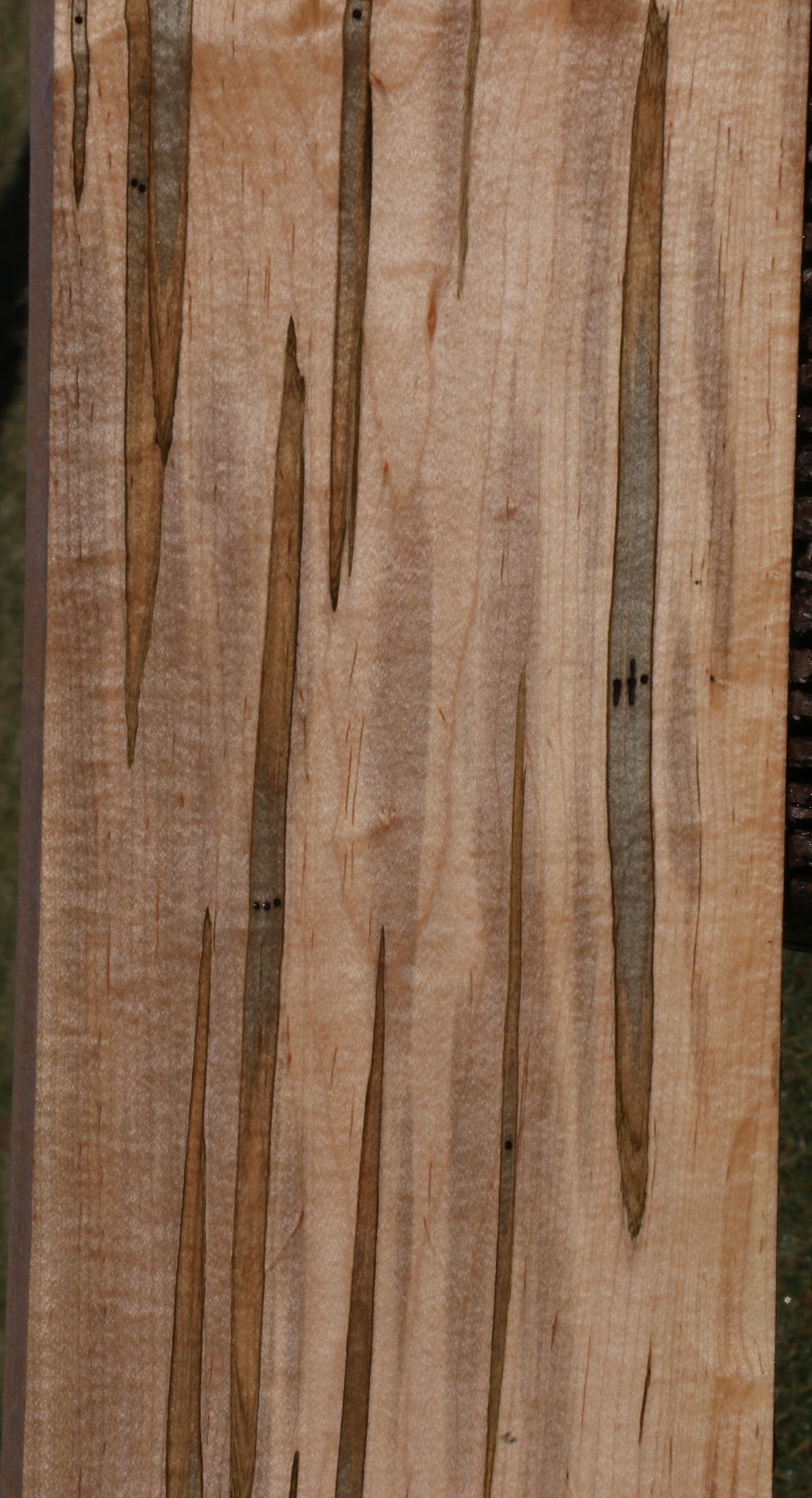 Extra Fancy Ambrosia Maple Lumber