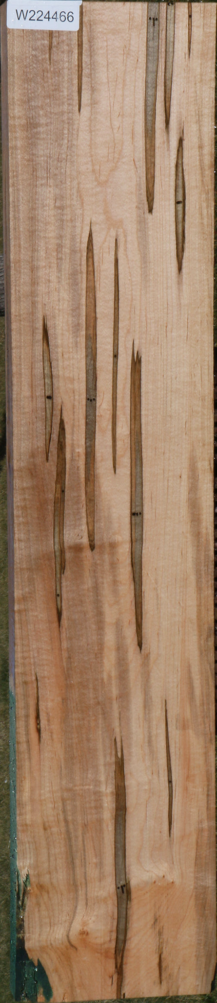 Extra Fancy Ambrosia Maple Lumber