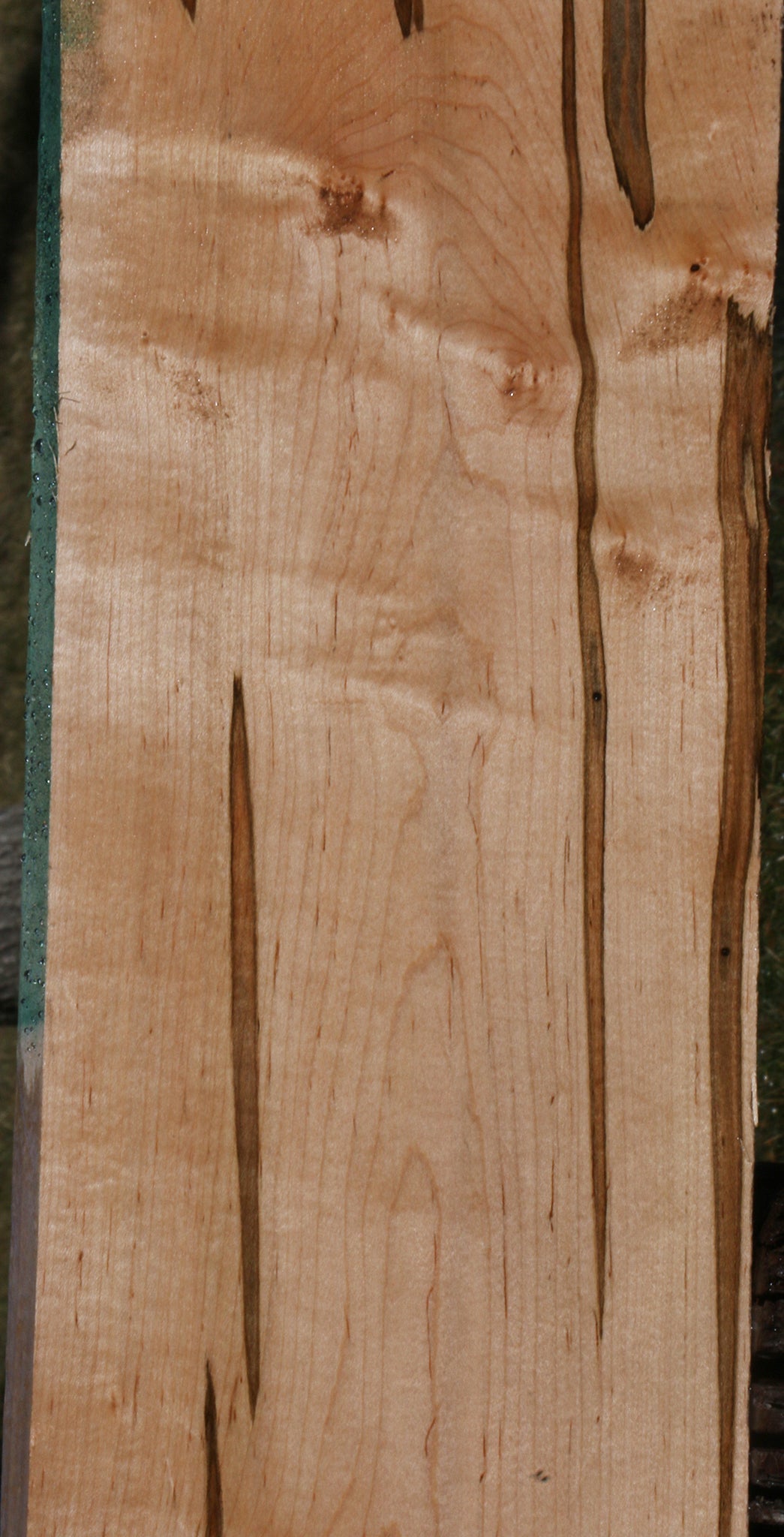 Extra Fancy Ambrosia Maple Lumber