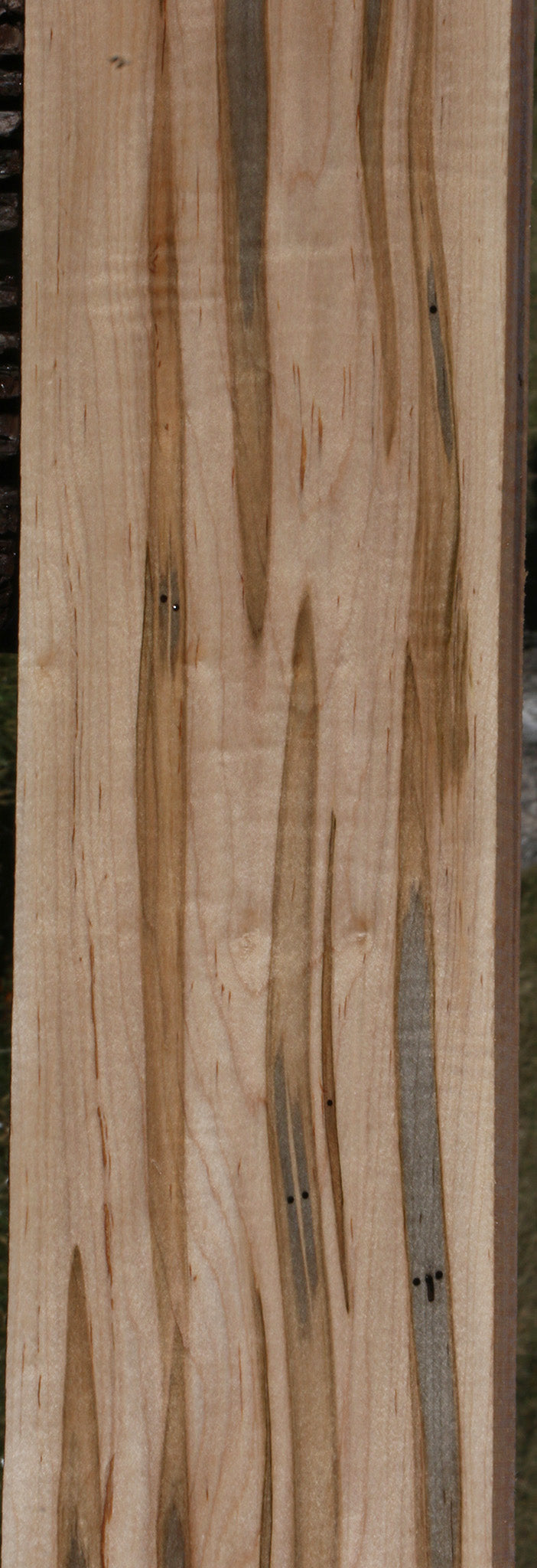 Figured Ambrosia Maple Lumber