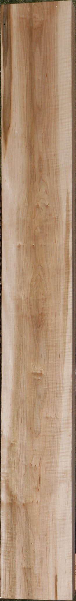 Figured Ambrosia Maple Lumber