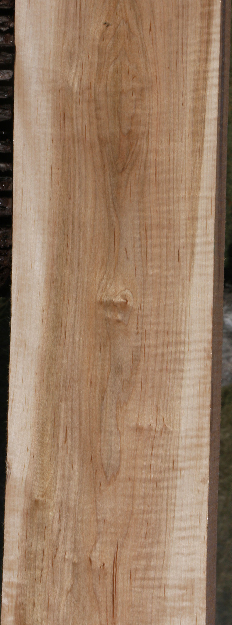 Figured Ambrosia Maple Lumber