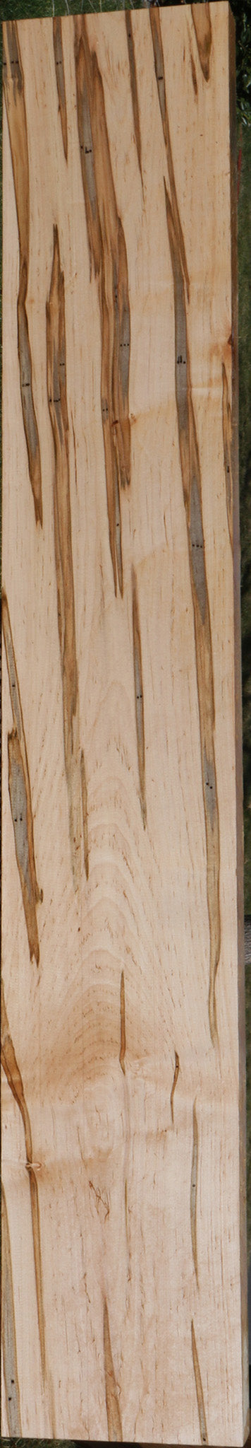 Figured Ambrosia Maple Lumber