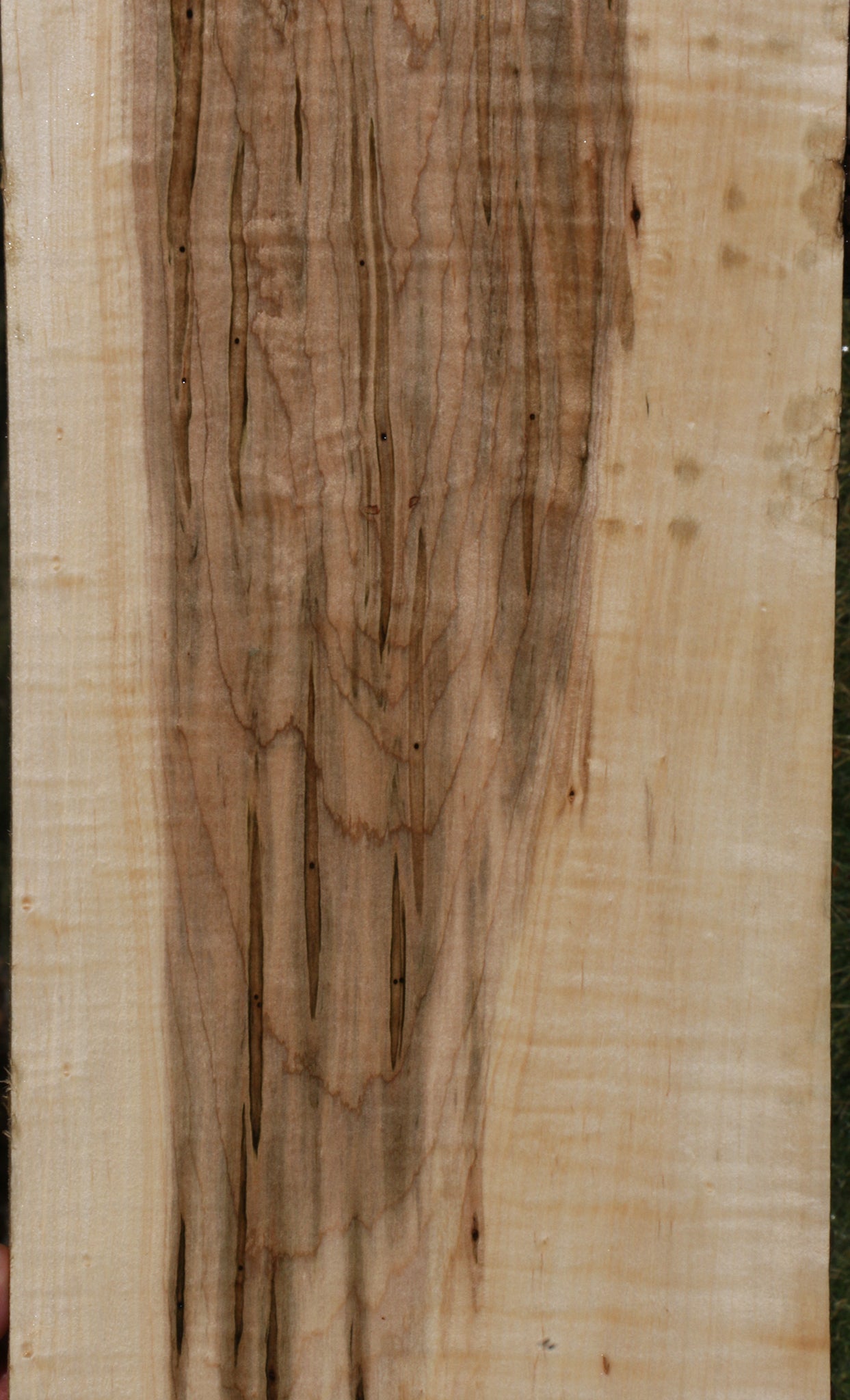 Extra Fancy Ambrosia Maple Lumber