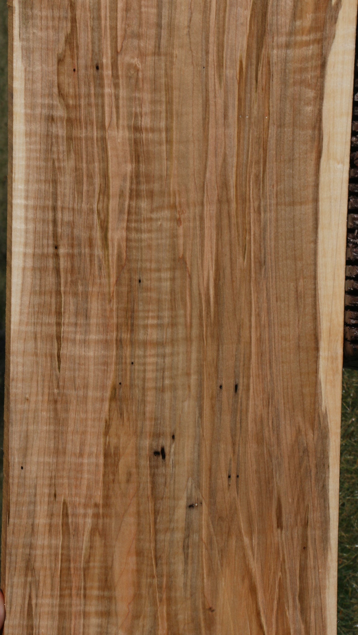 Extra Fancy Ambrosia Maple Lumber