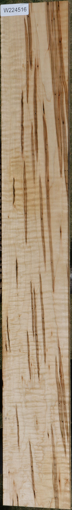 Extra Fancy Ambrosia Maple Lumber