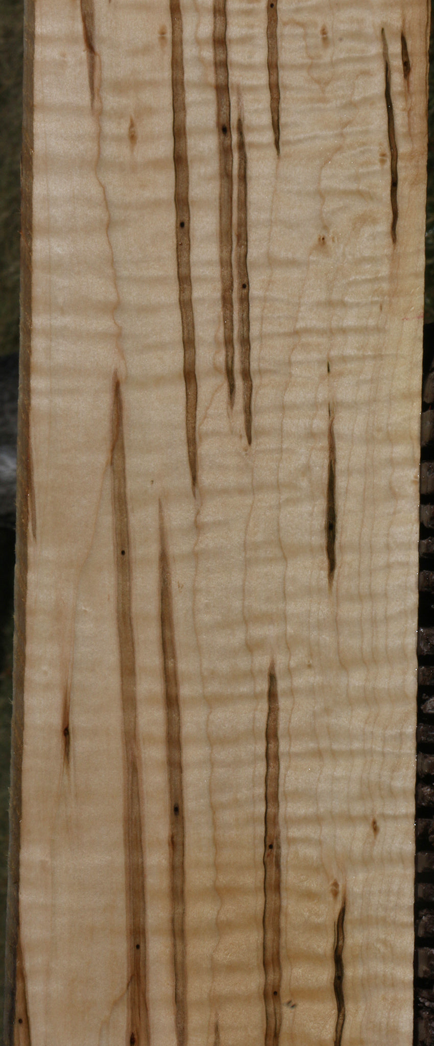 Extra Fancy Ambrosia Maple Lumber