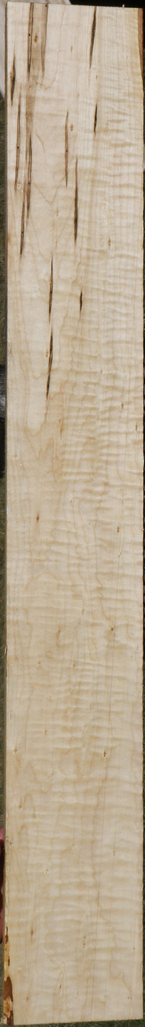 Extra Fancy Ambrosia Maple Lumber