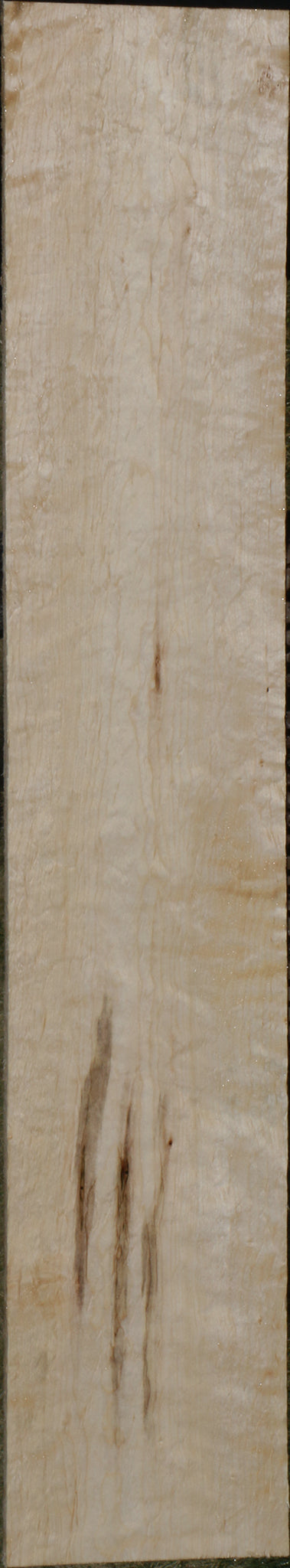 Extra Fancy Ambrosia Maple Lumber