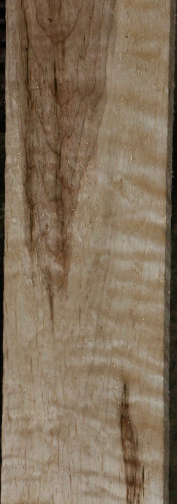 Extra Fancy Ambrosia Maple Lumber