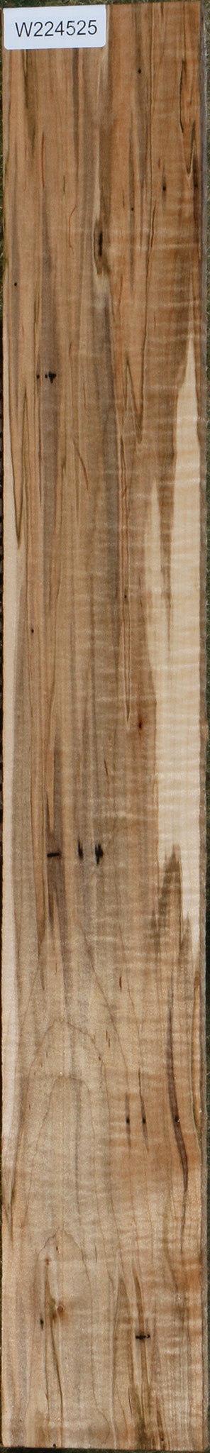 Extra Fancy Ambrosia Maple Lumber