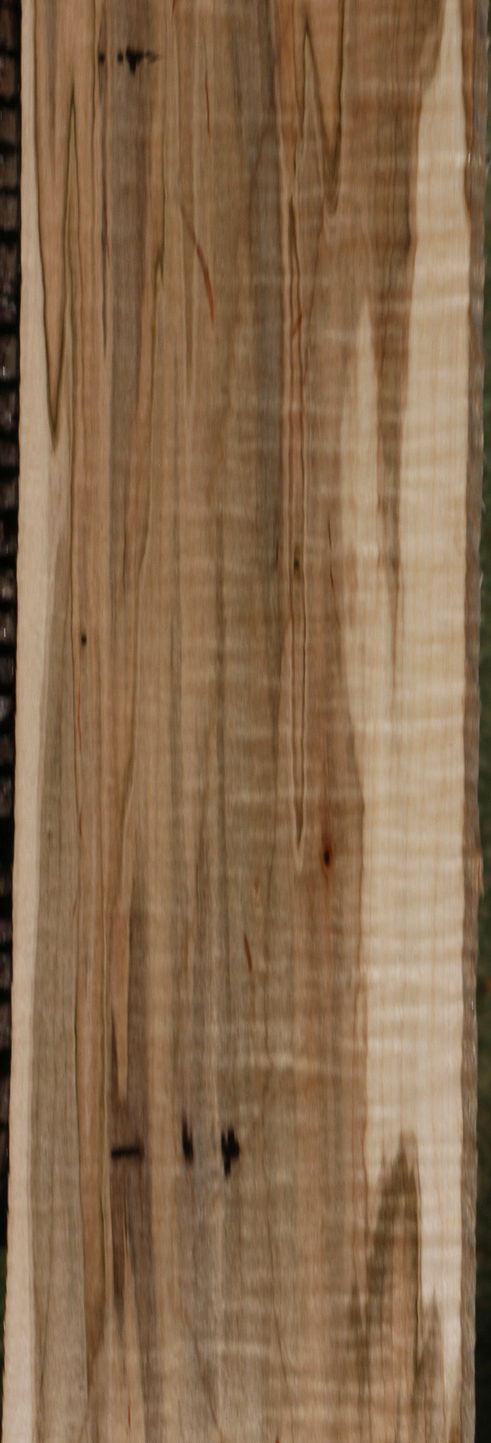 Extra Fancy Ambrosia Maple Lumber