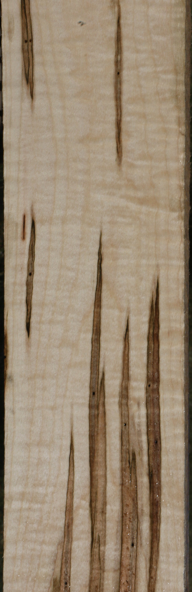 Extra Fancy Ambrosia Maple Lumber