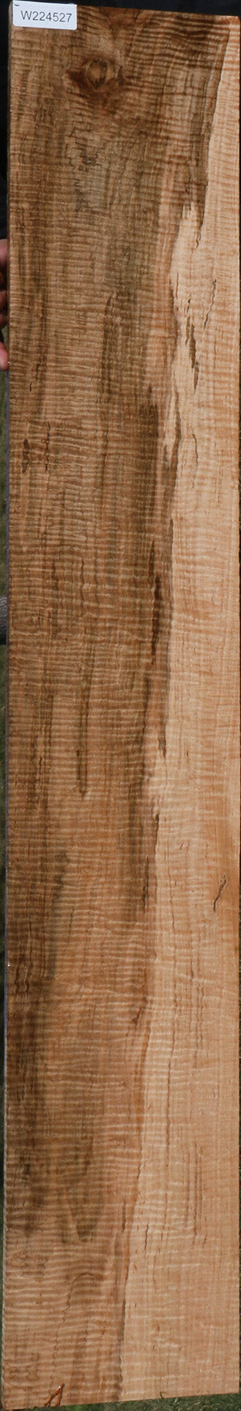 Exhibition Ambrosia Maple Lumber