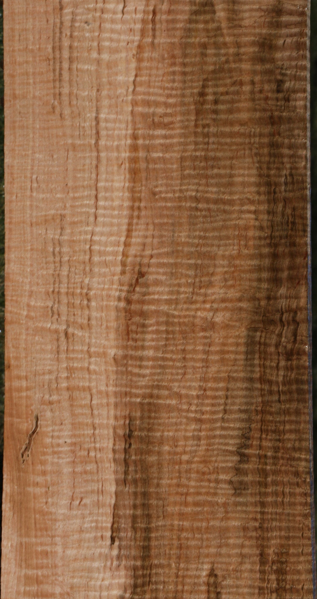 Exhibition Ambrosia Maple Lumber