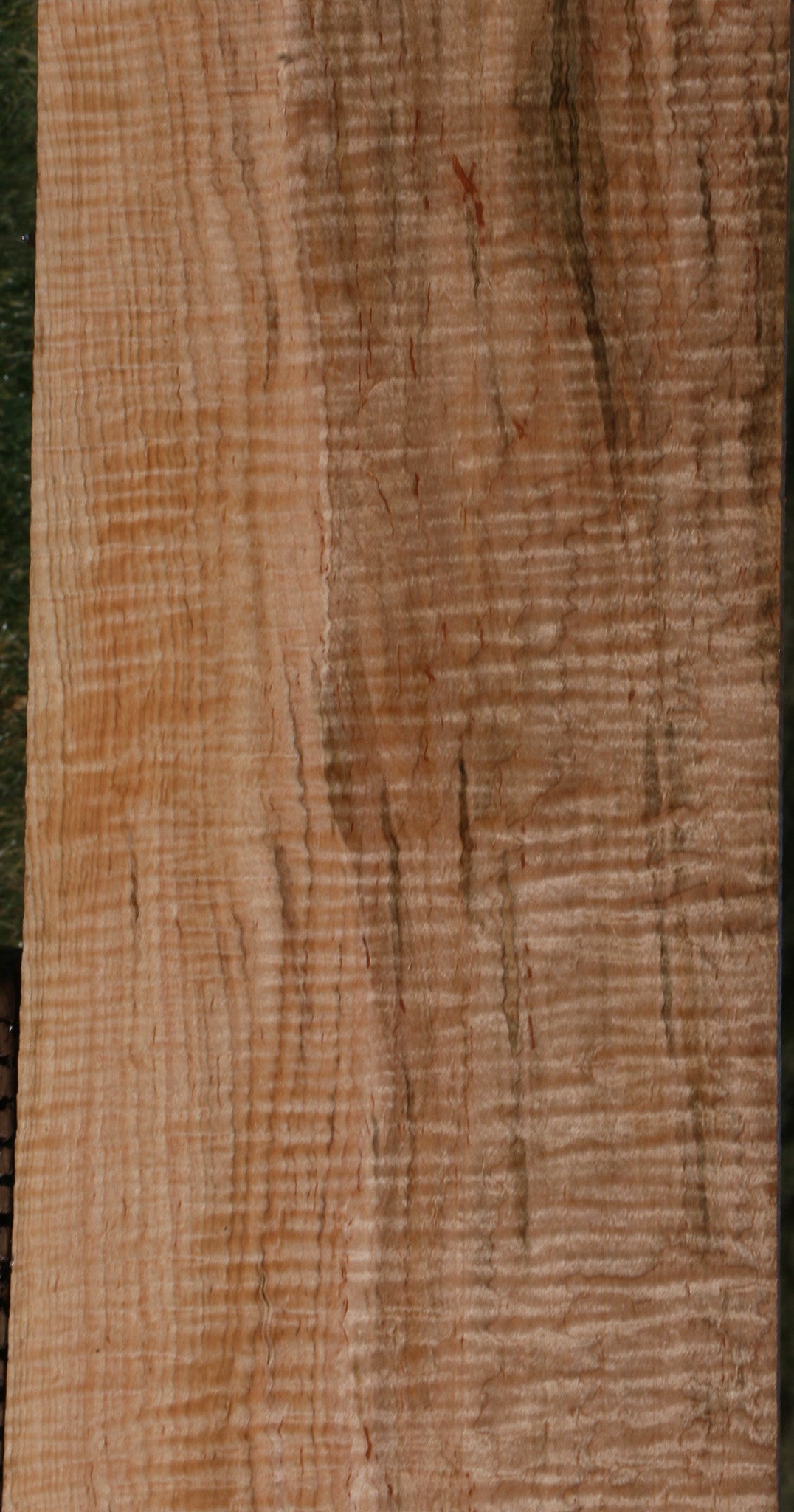 Exhibition Ambrosia Maple Lumber