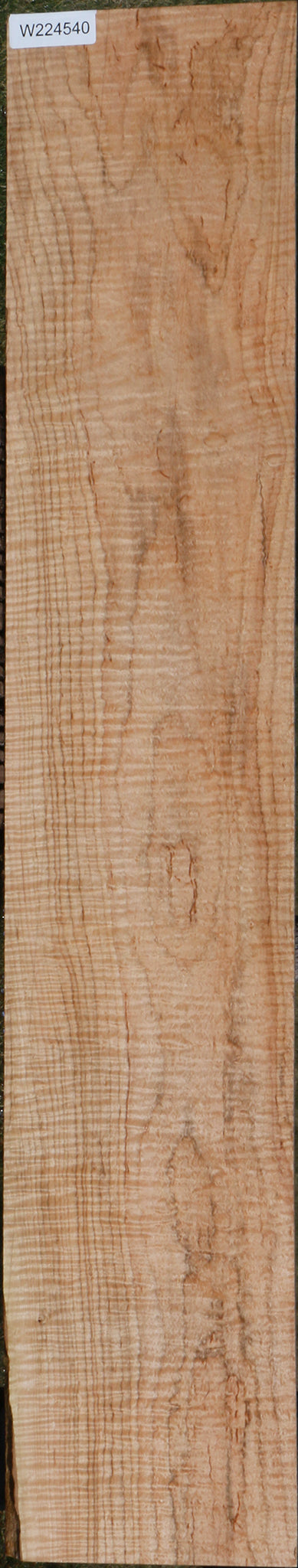 Exhibition Ambrosia Maple Lumber