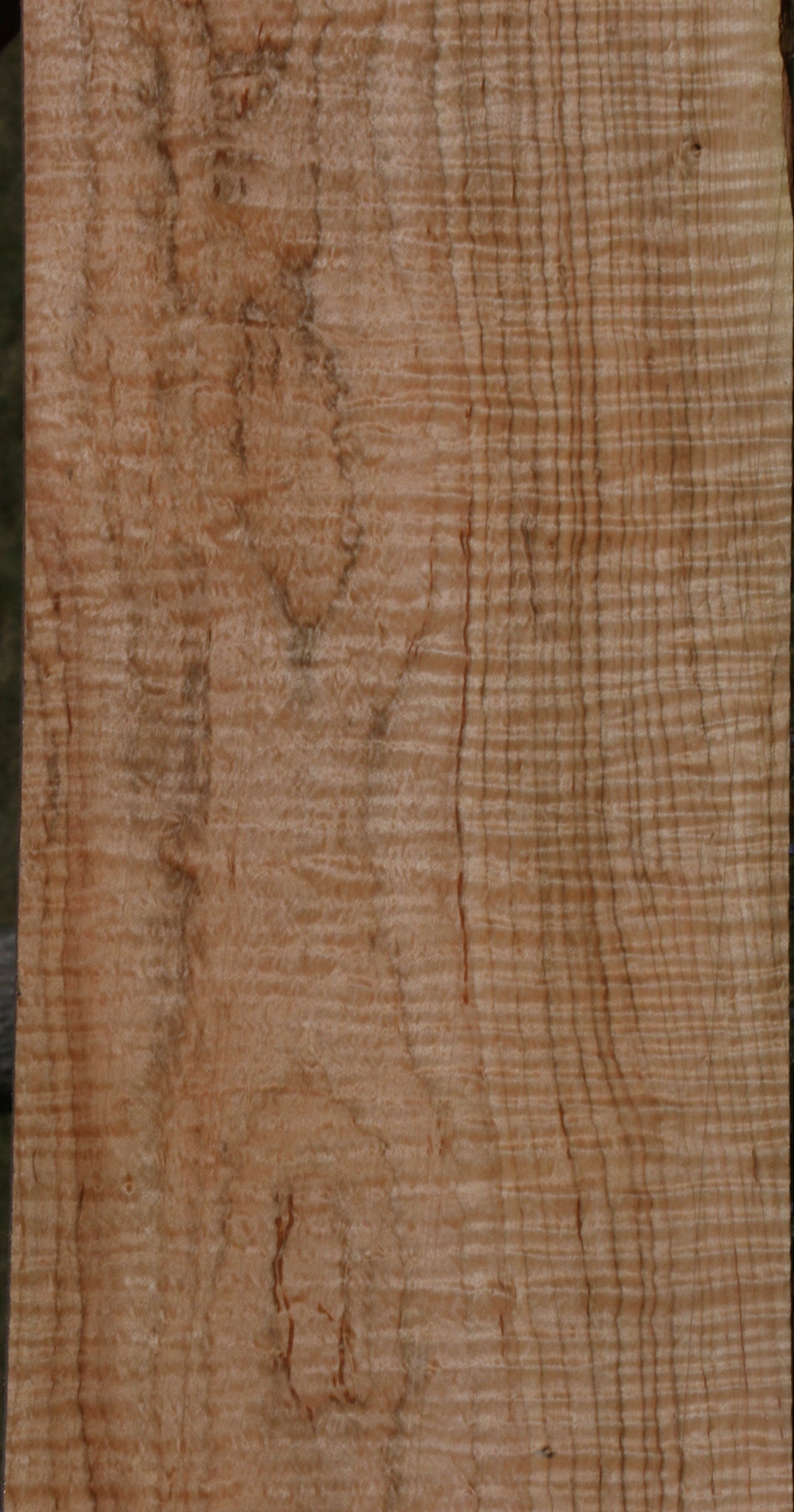 Exhibition Ambrosia Maple Lumber