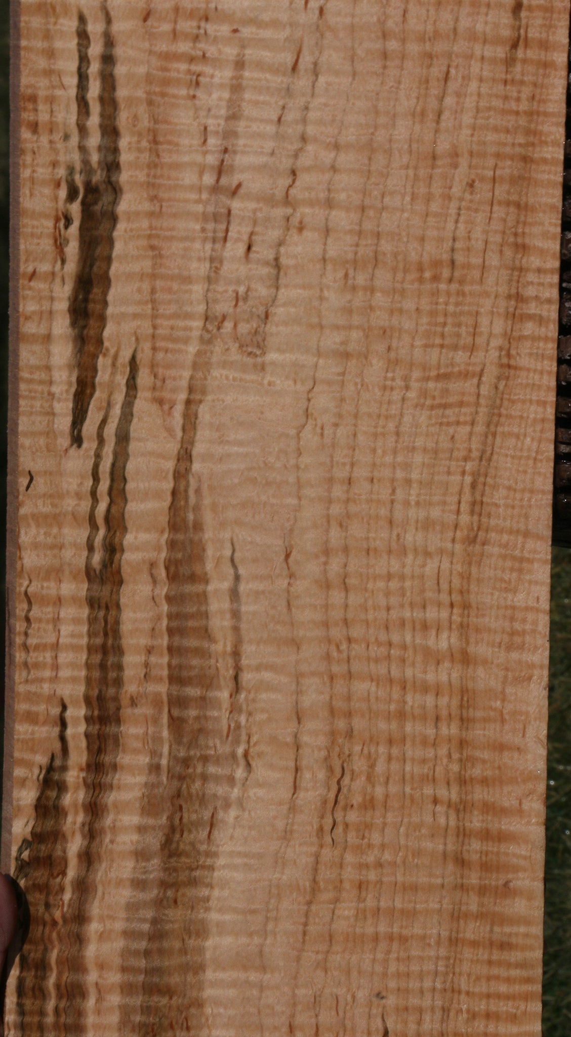 Exhibition Ambrosia Maple Lumber