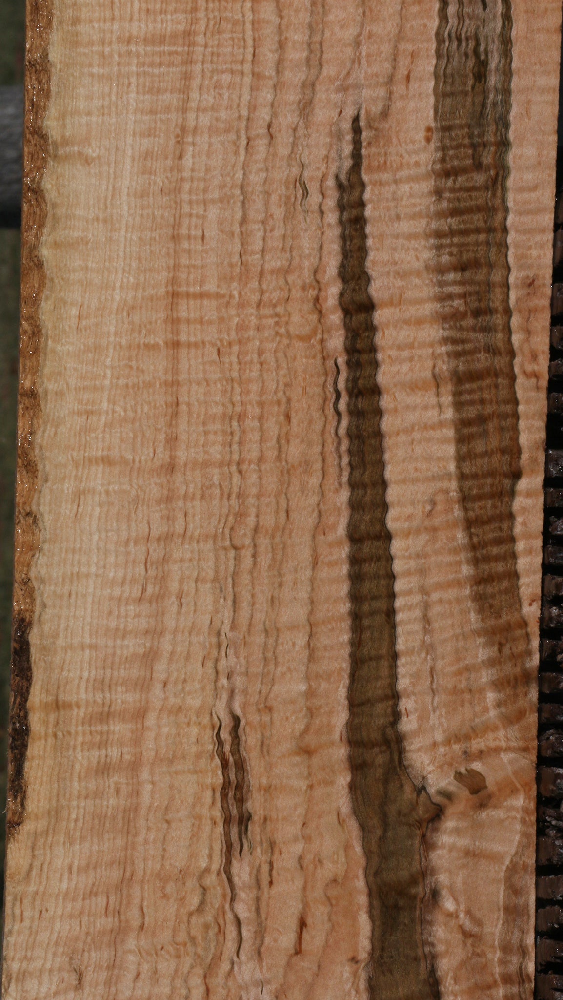 Exhibition Ambrosia Maple Lumber