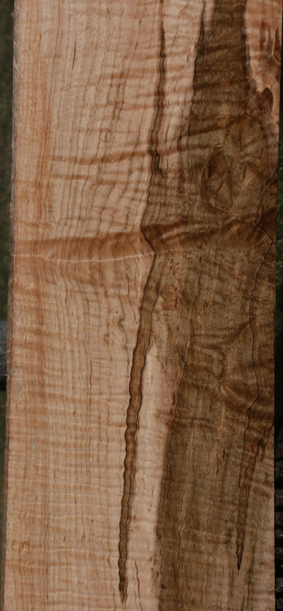 Exhibition Ambrosia Maple Lumber