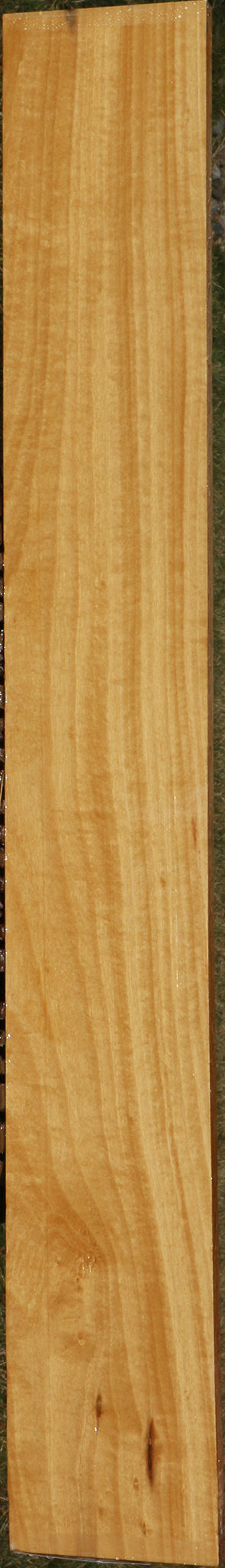 Figured Ceylon Satinwood Micro Lumber