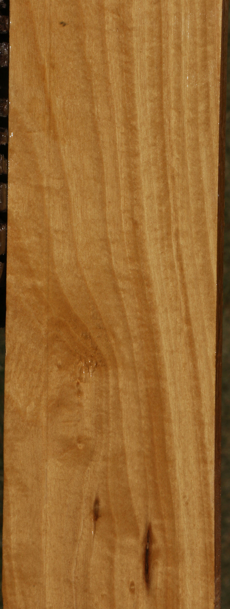 Figured Ceylon Satinwood Micro Lumber