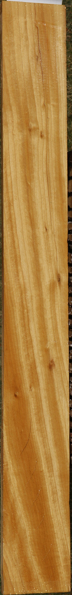 Ceylon Satinwood Micro Lumber