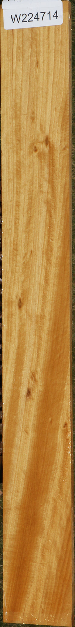 Ceylon Satinwood Micro Lumber