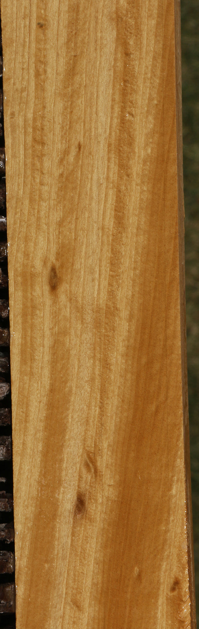 Ceylon Satinwood Micro Lumber