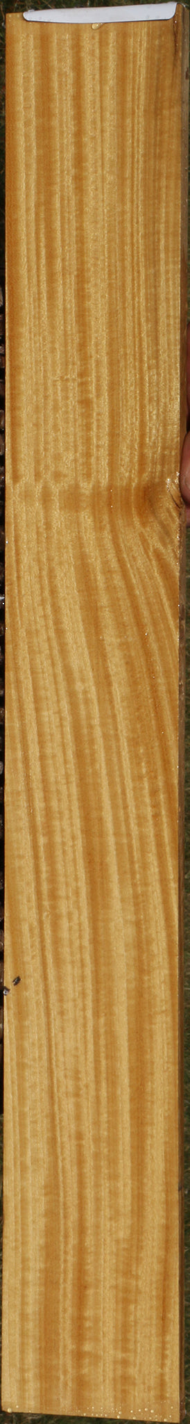 Figured Ceylon Satinwood Micro Lumber